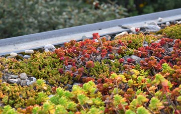 the cost of Martin green roof installation