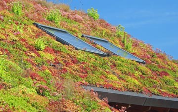 Martin living roof systems