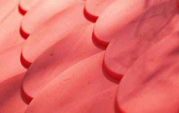 Martin plastic roof costs