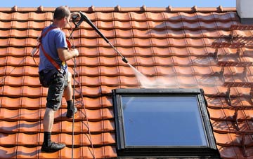 roof cleaning Martin