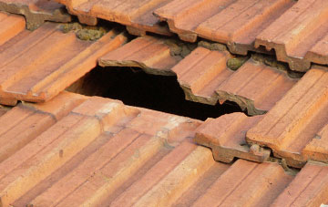 roof repair Martin