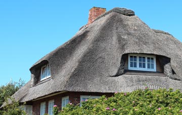 thatch roofing Martin