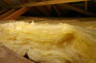 Martin pitch roof insulation